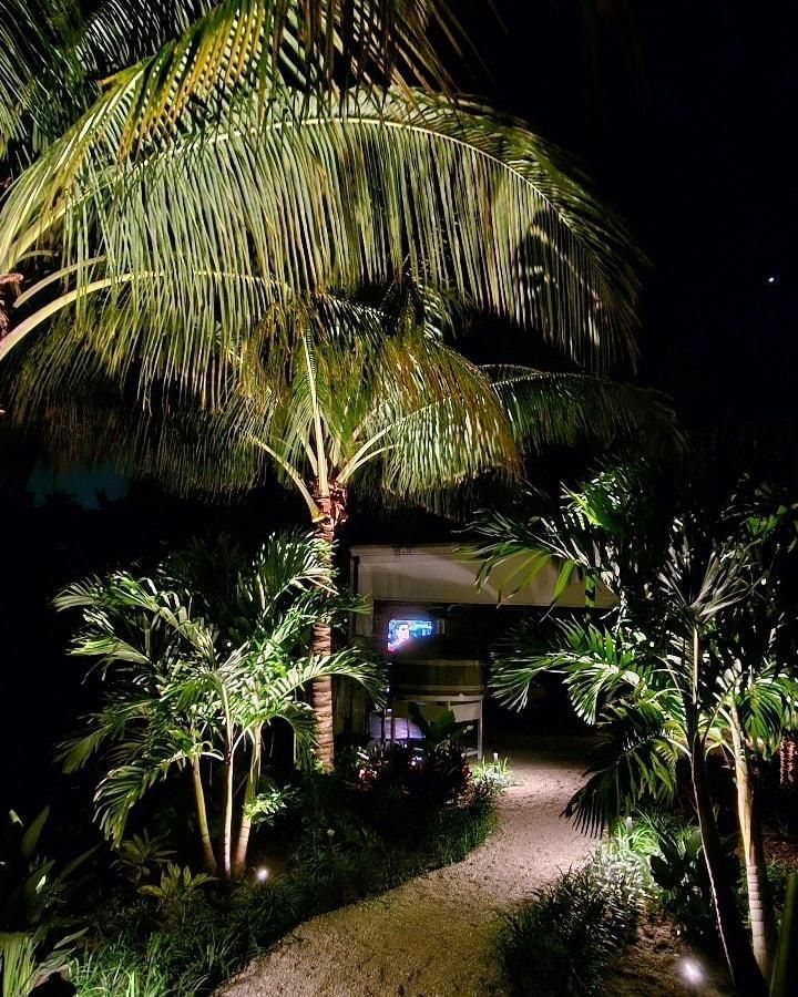 All Photos for Natural View Landscape, Inc.  in Loxahatchee, FL