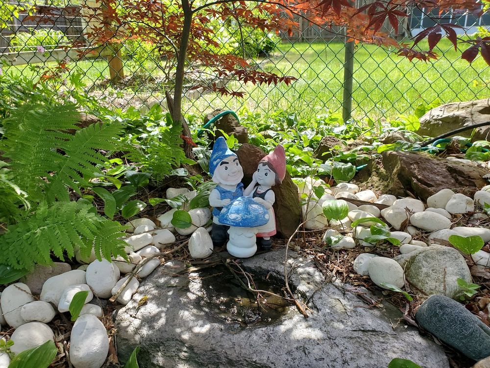 Landscaping for Evolution Earthscapes, LLC in Ludlow, MA