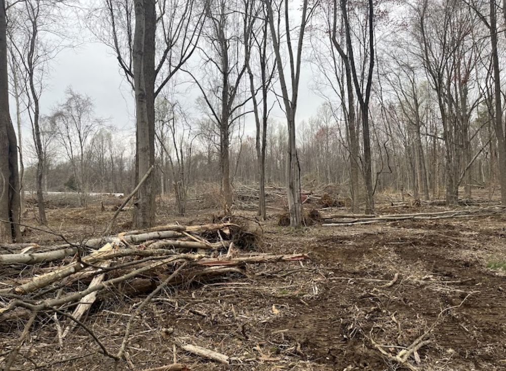 All Photos for Mountainside Property Services LLC in Warrenton, VA