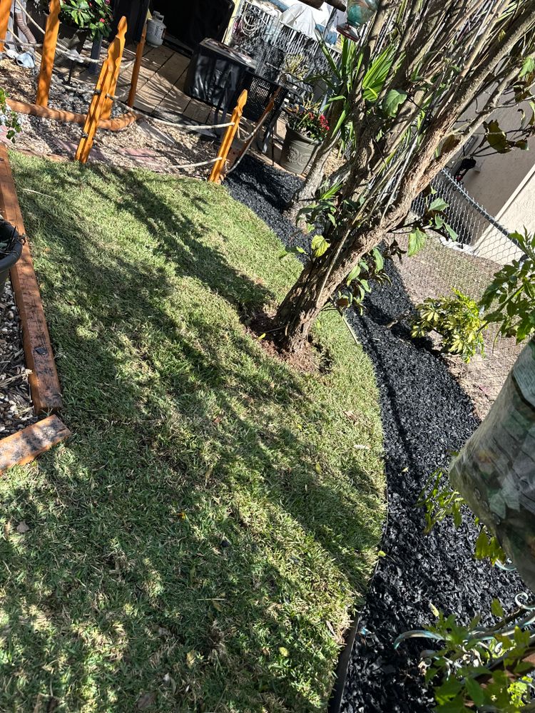 All Photos for Gulf Bay Sod in Clearwater, FL