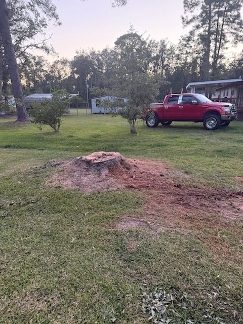 Tree Removal for Hawkins Tree Service & Land Management in Richmond Hill, GA