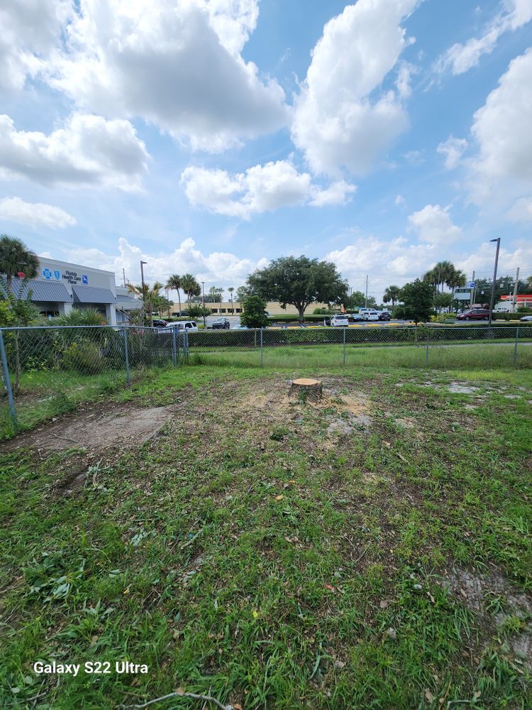 Our Stump Removal service efficiently eliminates tree stumps, enhancing your yard's aesthetics and safety while preventing pest infestations and promoting healthy landscaping. Enjoy a seamless, clutter-free outdoor space with our expert care. for Highlife Tree Care And Landscaping in Altamonte Springs, FL