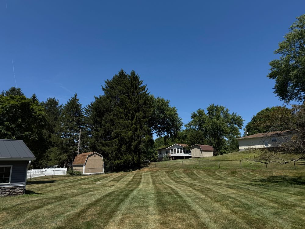 All Photos for Tactical Stripes Lawn care in Uniontown, OH
