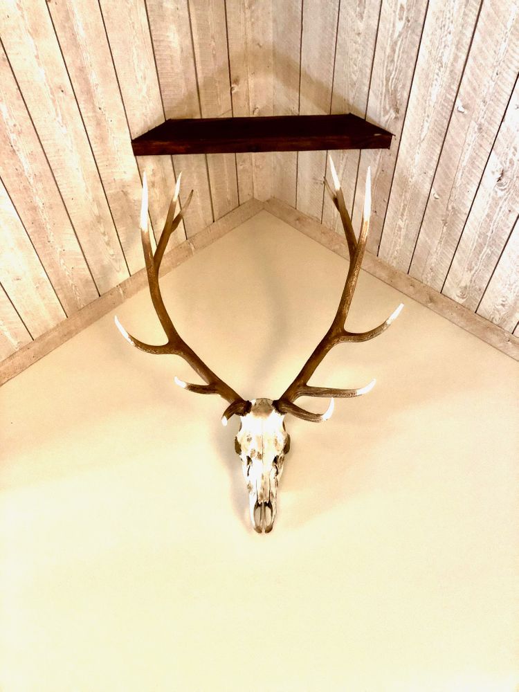 All Photos for R&H Homes in Bozeman, MT