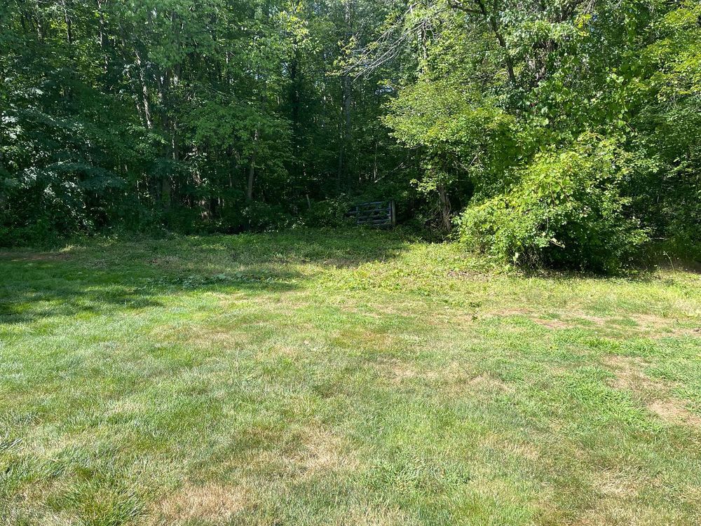 Lawn Care for B&L Management LLC in East Windsor, CT