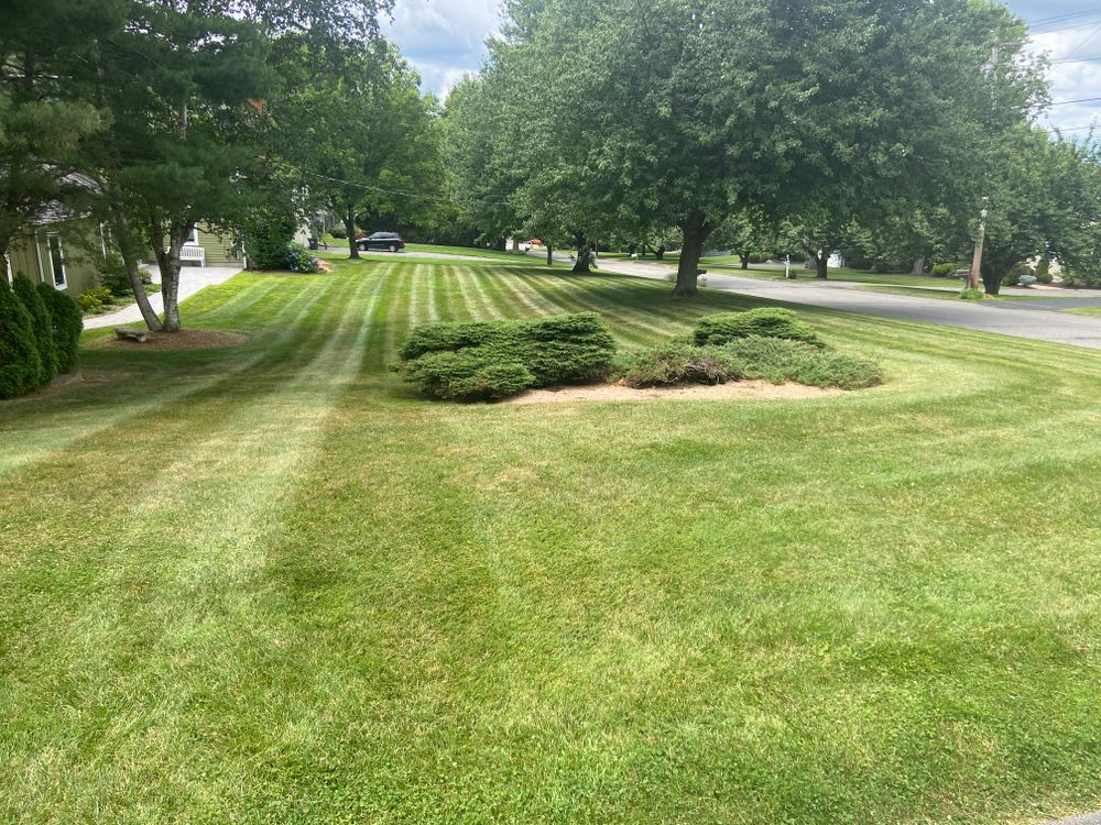 Lawn Maintenance  for Ace Landscaping in Trumbull, CT