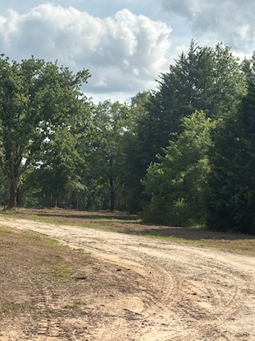 All Photos for JM Services in Woodville, TX