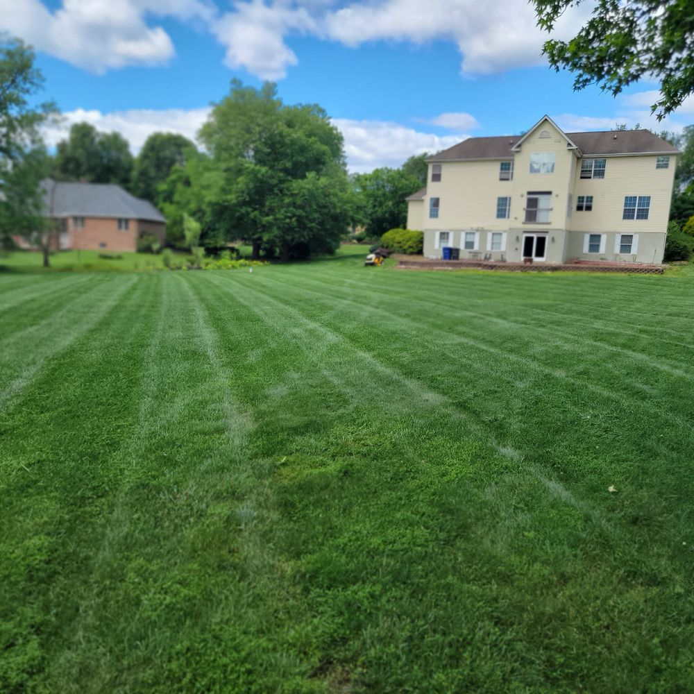 Full Service for DBs Lawn Care in Westampton Township, New Jersey