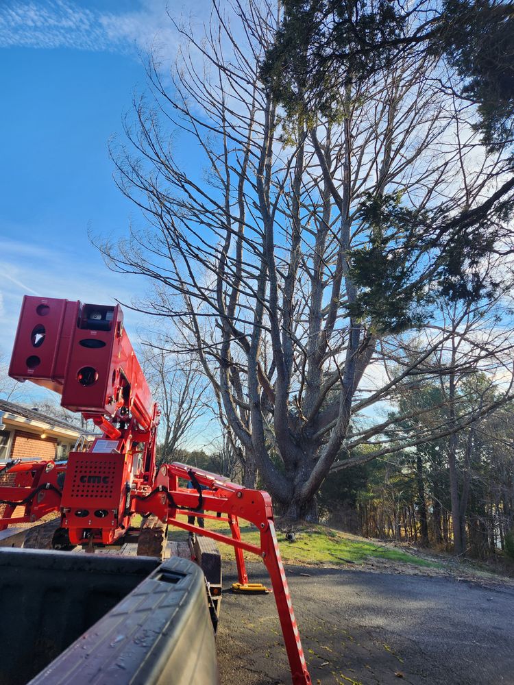All Photos for Smith Tree Experts in Palmyra, VA