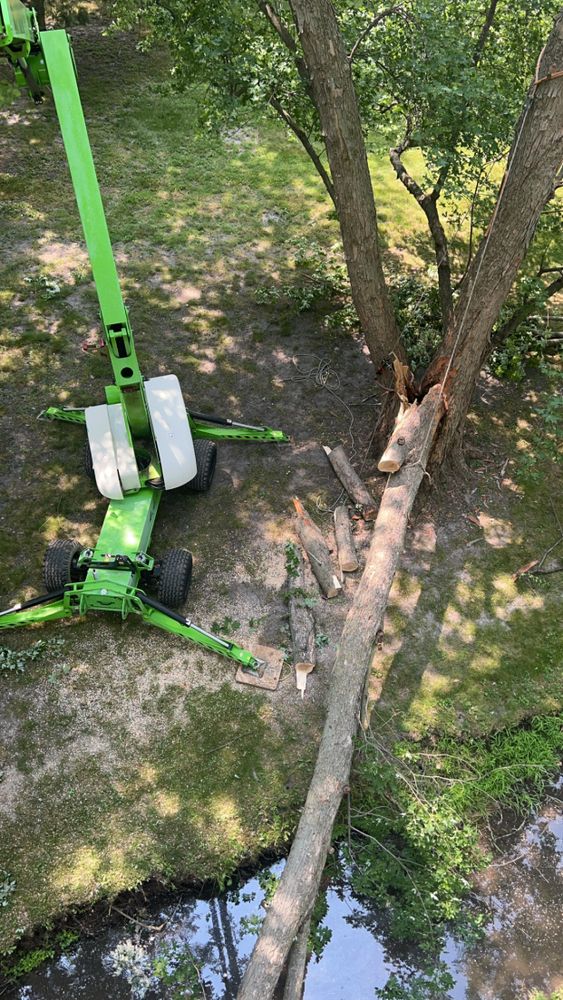 Tree jobs for Fransen's Tree Service  in Freeport, IL