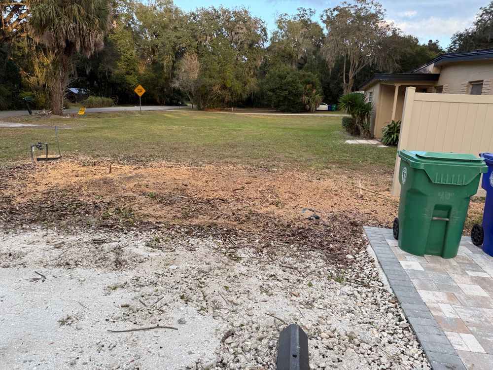 All Photos for Amerigrown Tree And Lawn in Apopka, FL