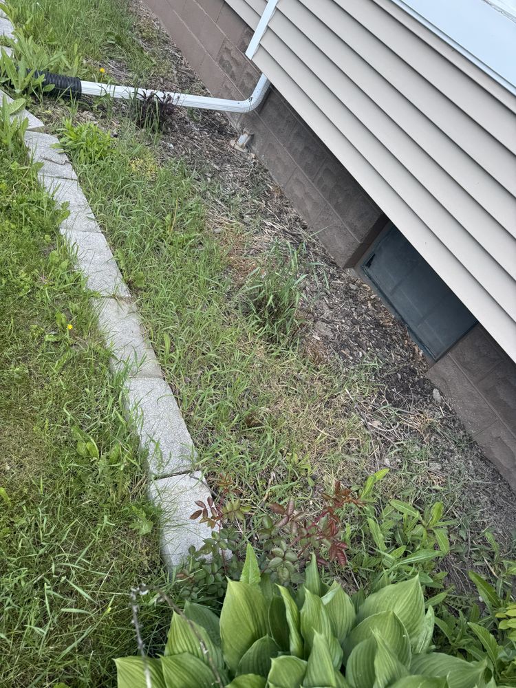 Landscaping Lawn Care for Daugherty's Tough Lawn Care in Essexville, MI