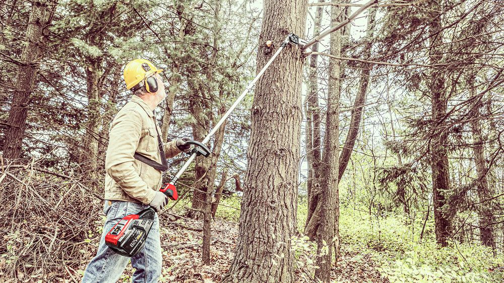 Our professional tree pruning service helps maintain the health and beauty of your trees by removing dead or overgrown branches, promoting new growth, and enhancing overall aesthetics of your landscape. for Grassy Turtle Services, LLC.  in Oxford, CT