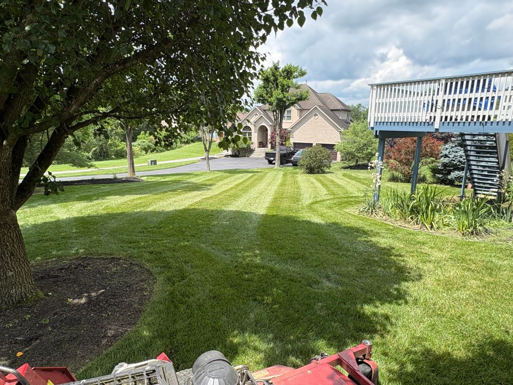 Weekly lawn mowing and full-service lawn care in Washington, PA — mowing, weed whacking, and leaf blowing April through November. for Cam Yardz in Washington, PA