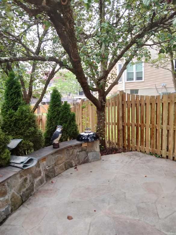 All Photos for B-Marz Home Improvements in Vienna, VA