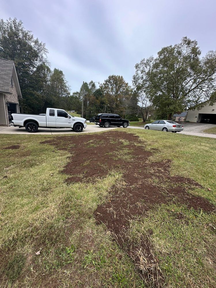 All Photos for Queen’s Landscaping in Kernersville, NC