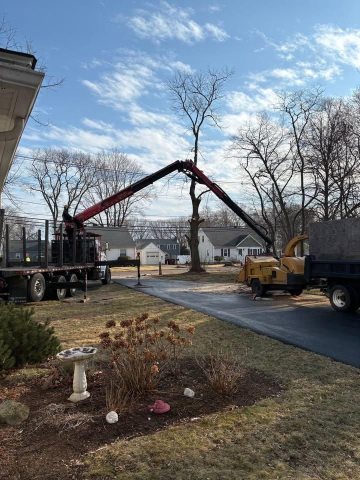 All Photos for Dwights Tree Service in Middleborough, MA