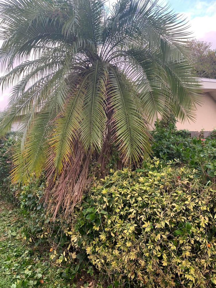 All Photos for Space Coast Property Maintenance and Management LLC in Melbourne, FL