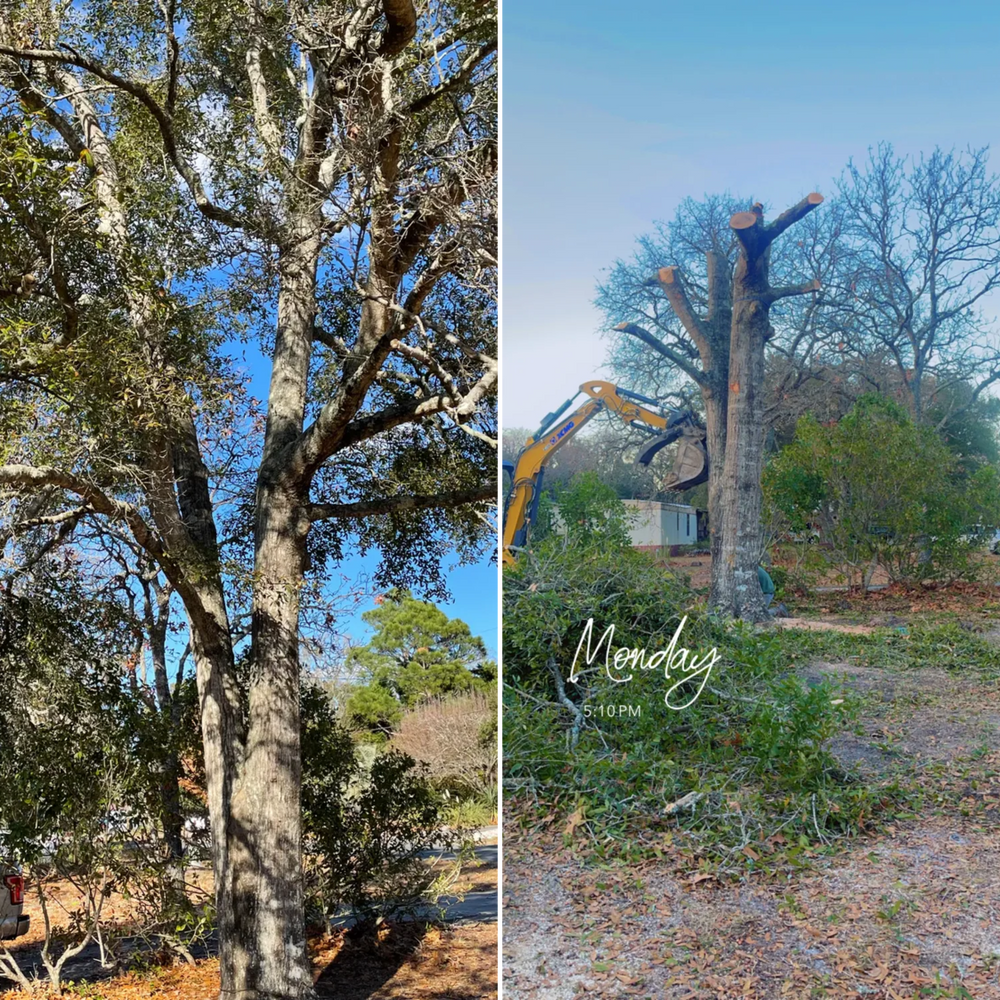 Land Clearing  for Cortez Construction SC, LLC in Conway, SC