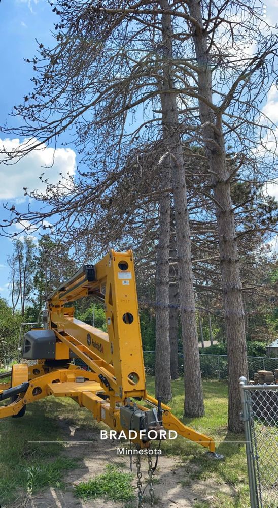 All Photos for K and Z Tree Care in Isanti County, MN