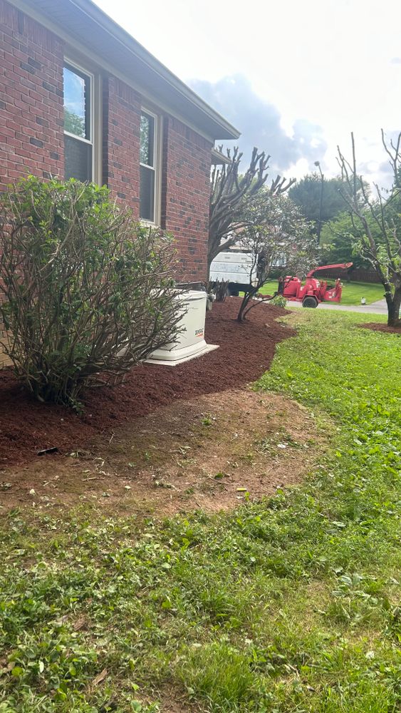 All Photos for Optimum Tree Service And Landscaping in Bowling Green, KY