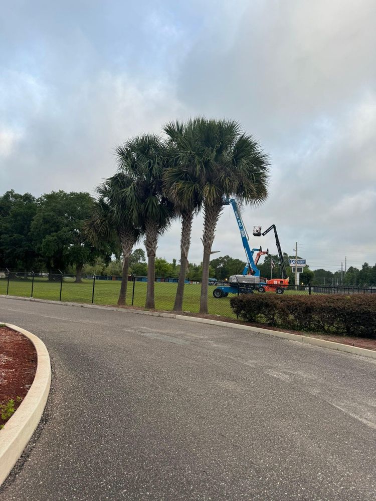 All Photos for Jacksonville Outdoors in Jacksonville, FL