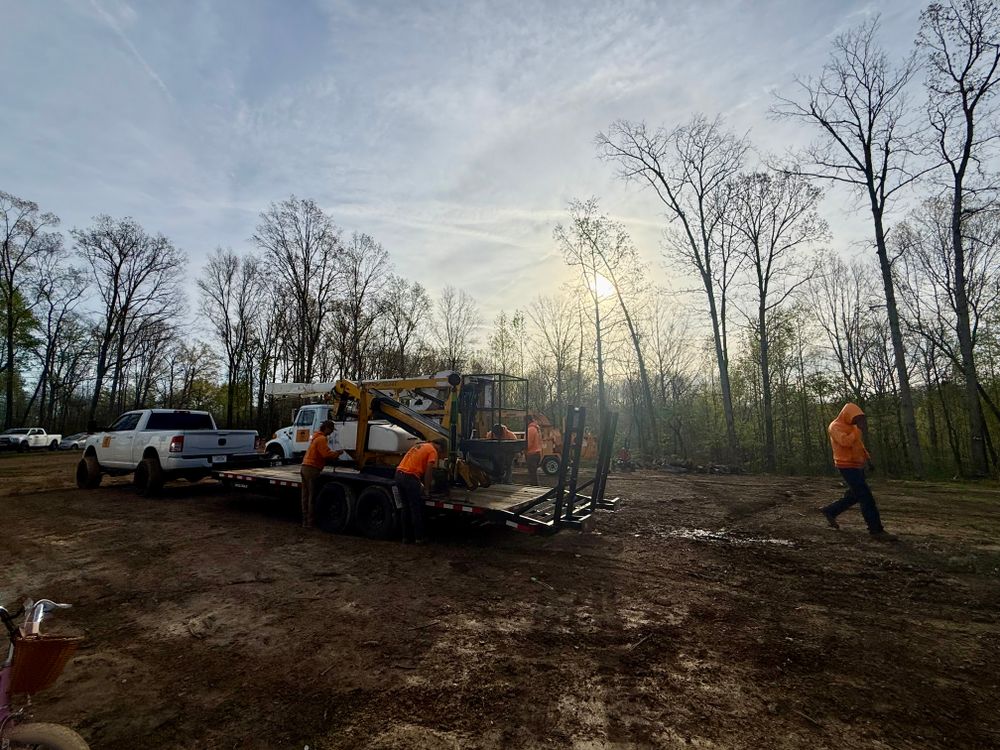 All Photos for Ross Family Tree Service LLC  in Hohenwald, TN