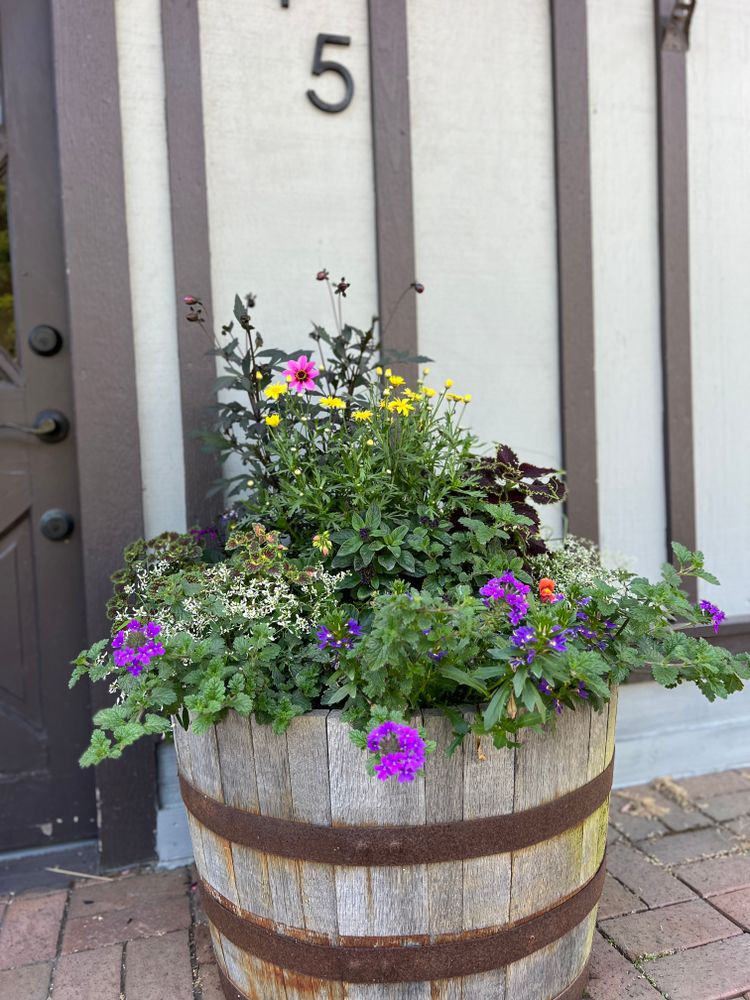 Container Gardening for Sustainable Lawn and Landscape in Banner Elk, NC
