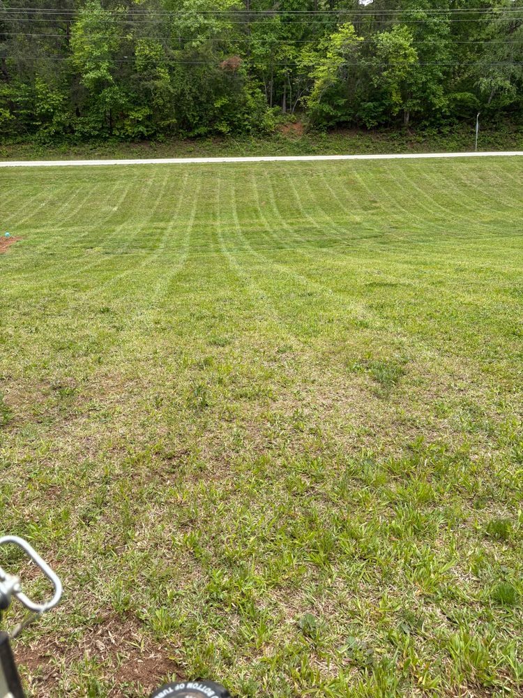 All Photos for Taylormade Lawn Management in Habersham County, GA