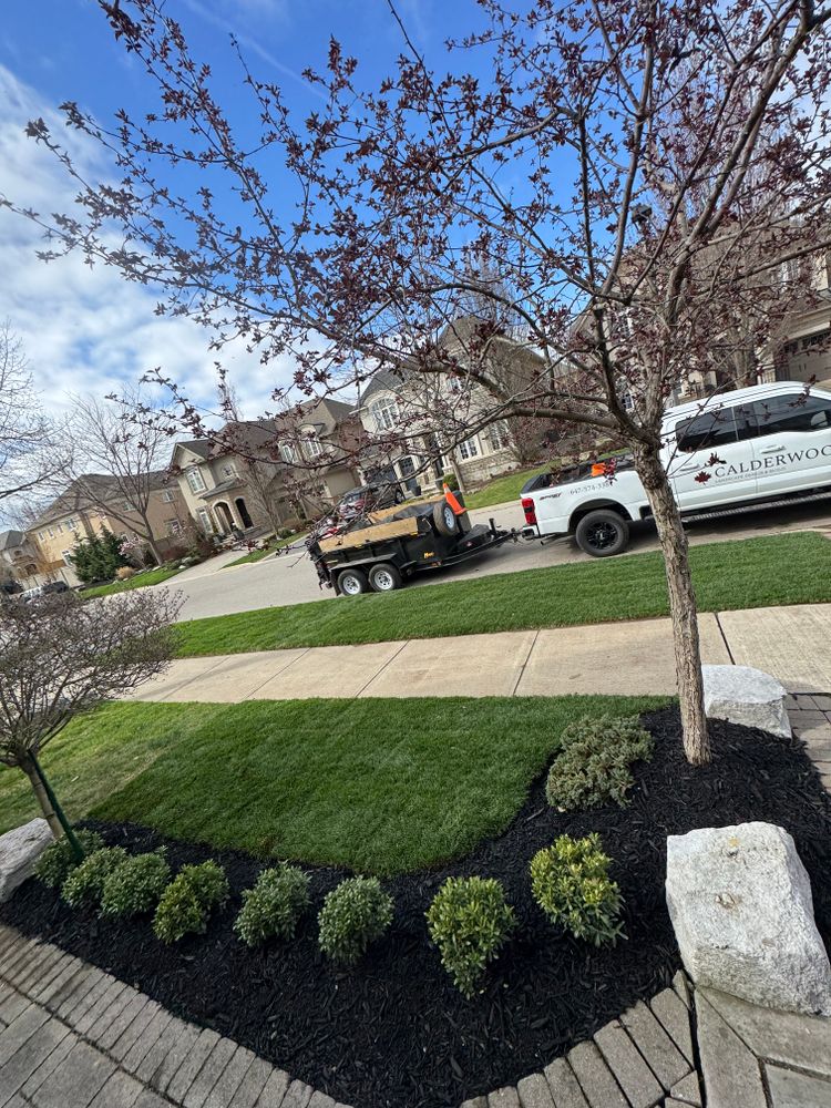 Sod Installation for Calderwood Landscapes in Oakville, ON