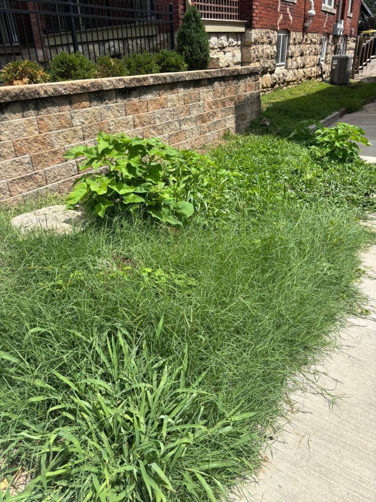 All Photos for Cross Family Tree Service in Kearney, MO