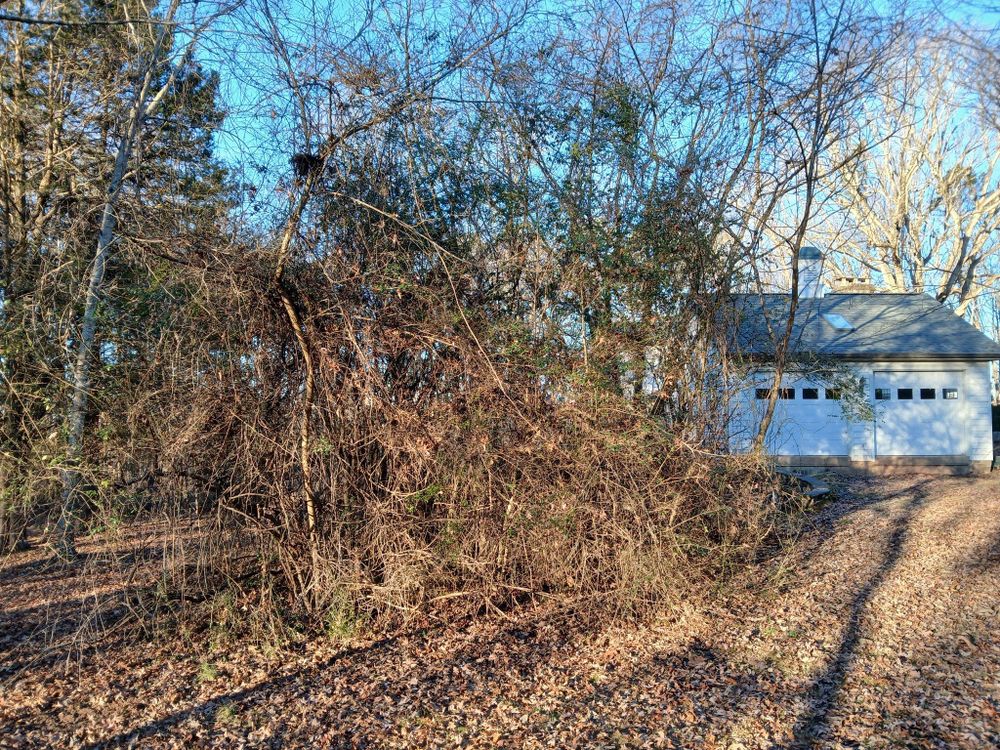 All Photos for Whiskey Ridge Mulching & Land Services in South Boston, VA