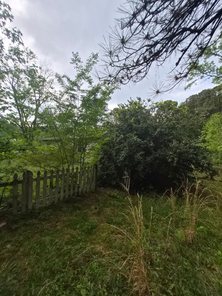 All Photos for 4 Points Lawncare LLC in Hayes, VA