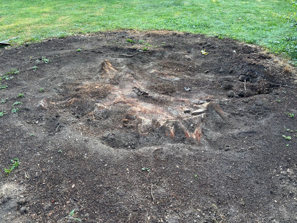 All Photos for Conrad's Stump Removal in Columbus, IN