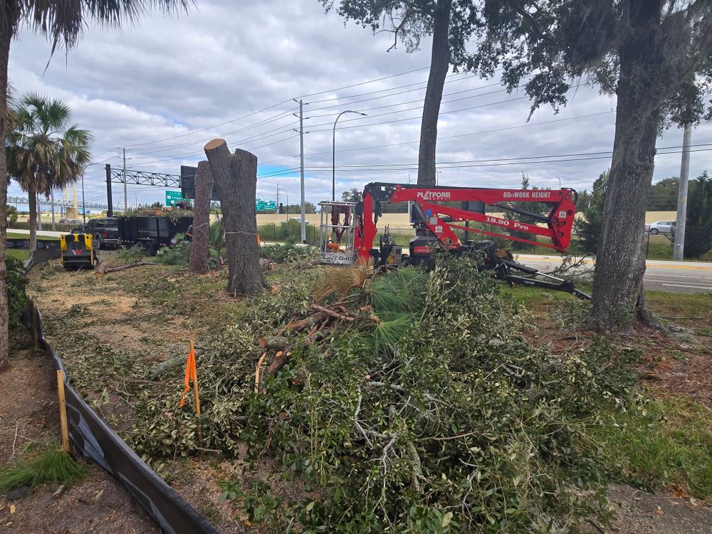 All Photos for Near Me Tree Service, Inc. in DeLand, FL