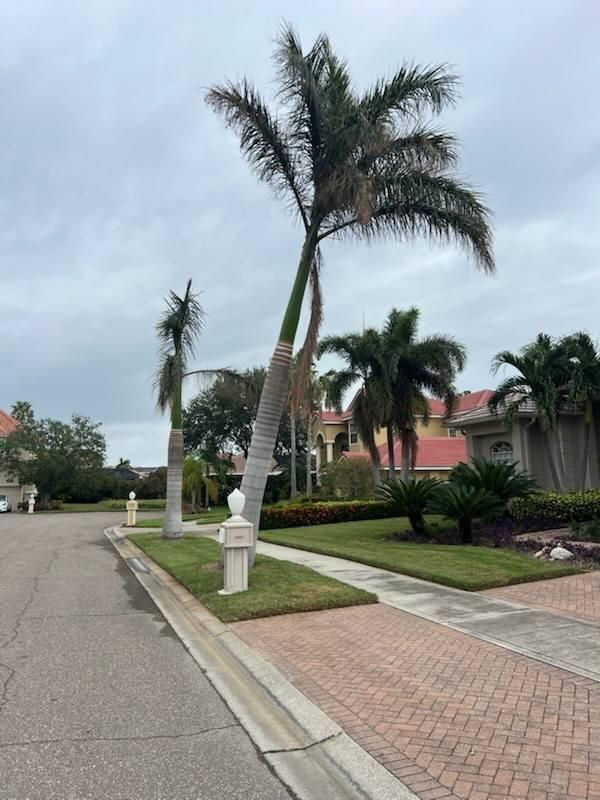 All Photos for TREE BOYS in Ruskin, FL