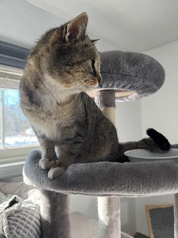 All Photos for Sullivan Sanctuary of Maine in Brunswick, ME