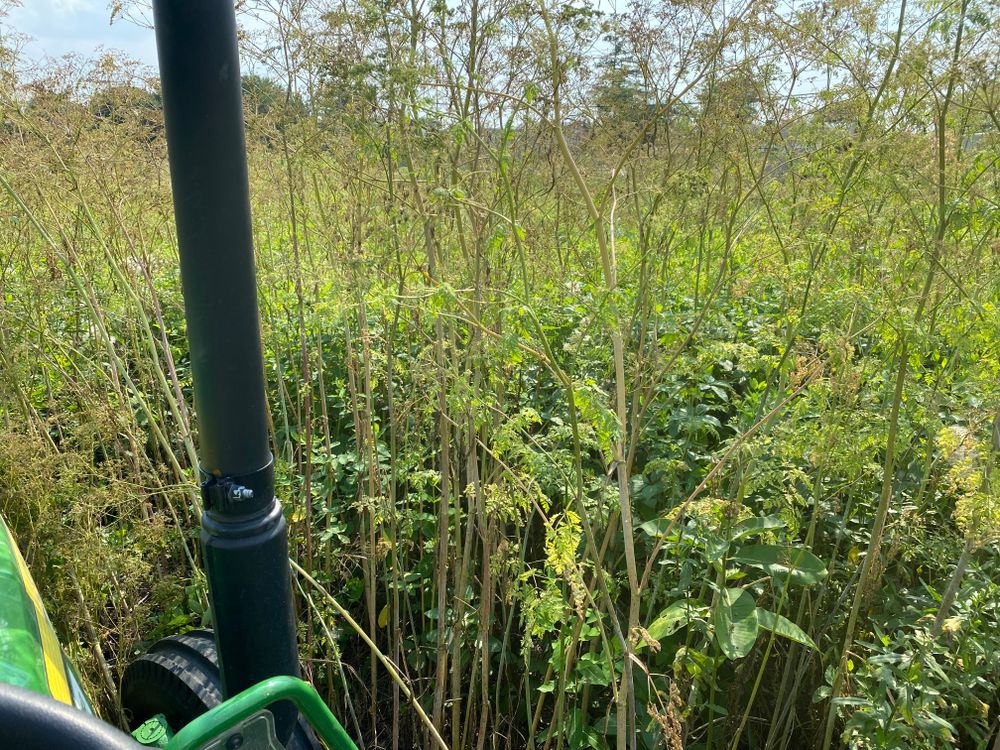 All Photos for A1 Bush Hogging & Lawn Service in Columbus, OH