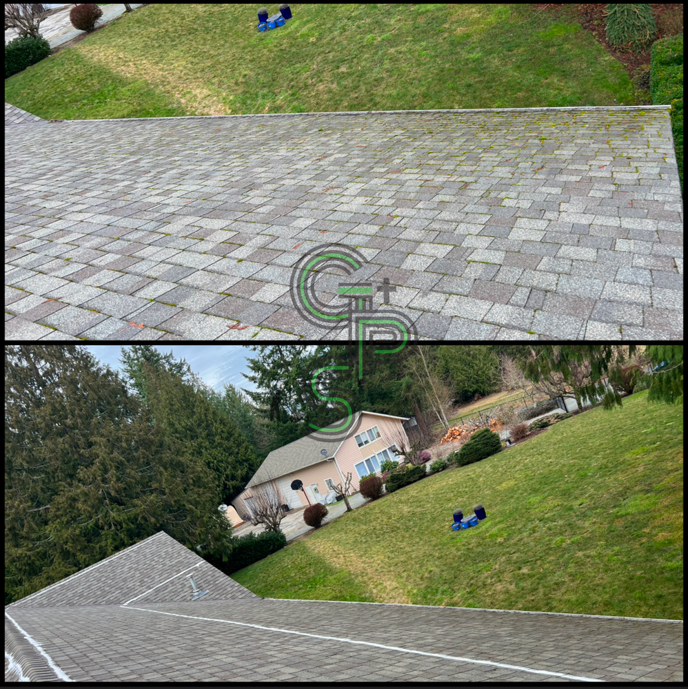 Roof and Gutter Cleaning for Golovin Property Services LLC in Marysville, WA