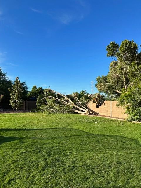 Our expert team specializes in constructing durable and aesthetically pleasing retaining walls to prevent erosion, create level surfaces, and enhance the overall appearance of your outdoor space. Contact us today! for AZ Tree & Hardscape Co in Surprise, AZ