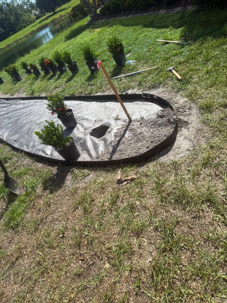 All Photos for Damian’s Tree Care in Sarasota, FL