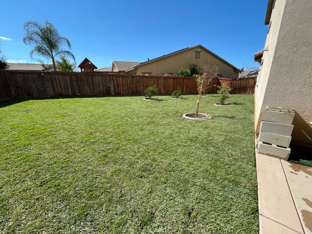 Sod Installations for Aidan Jade Landscaping in Riverside County, CA