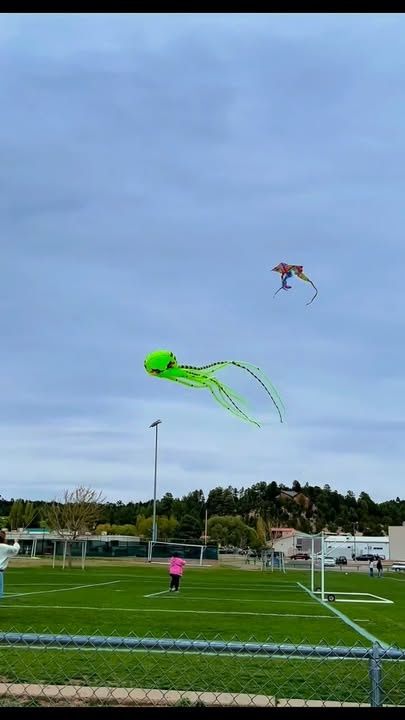 All Photos for G&B Yard Service in Ruidoso Downs, NM