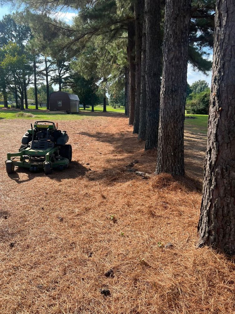 Landscaping  for Zac’s Lawn and Landscaping in Fort Smith, AR