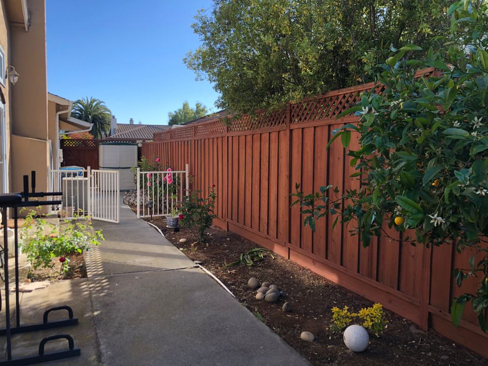 Deck & Fence Staining & Painting for Clean Finish Painting in San Carlos, CA