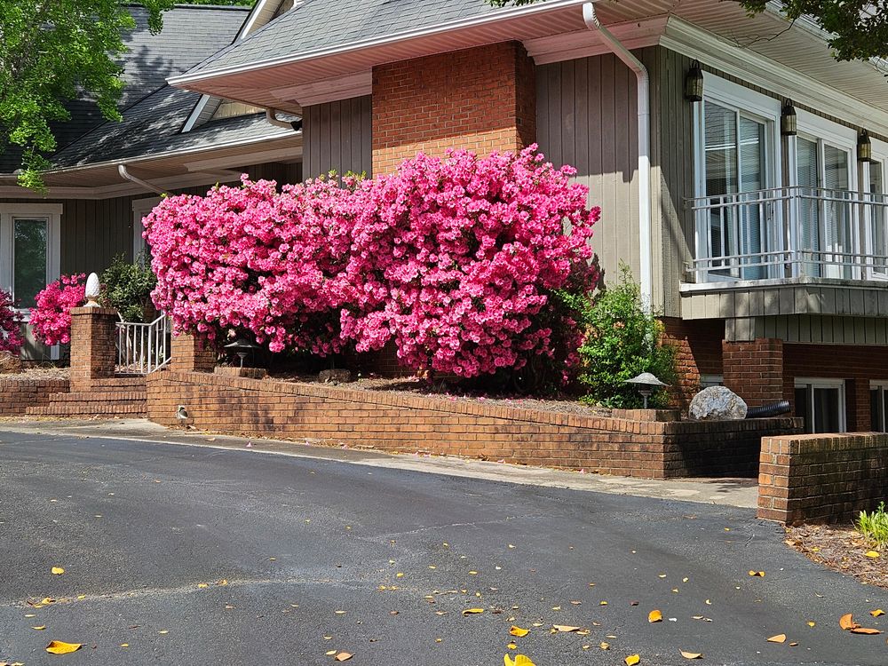 Our Tree & Shrub & Flower Maintenance service ensures a vibrant landscape, providing expert shrub trimming, tree care, and flower upkeep to enhance your home's curb appeal and garden health all year round. for Gallimore’s Lawn Care in Thomasville, NC