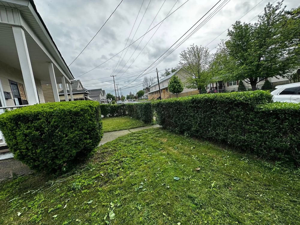 Lawn Care for Lopez Landscaping and Hardscapes in Scranton, PA