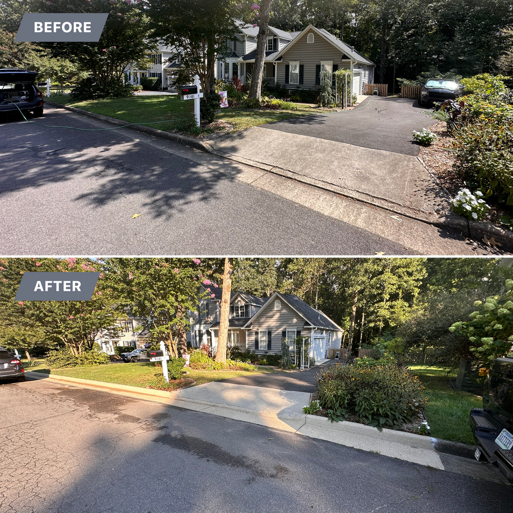 All Photos for LeafTide Solutions in Richmond, VA