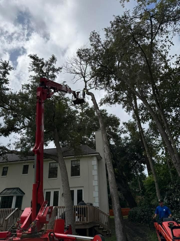 All Photos for Top Notch Tree Experts in Orange Park, FL