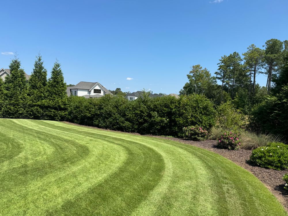 Lawn Transformations for Sunrise Lawn Care & Weed Control LLC in Simpsonville, SC